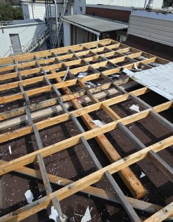 547236282_122094205821035083_2382353648912741062_n