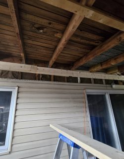 556837148_122103399285035083_331742522883073635_n